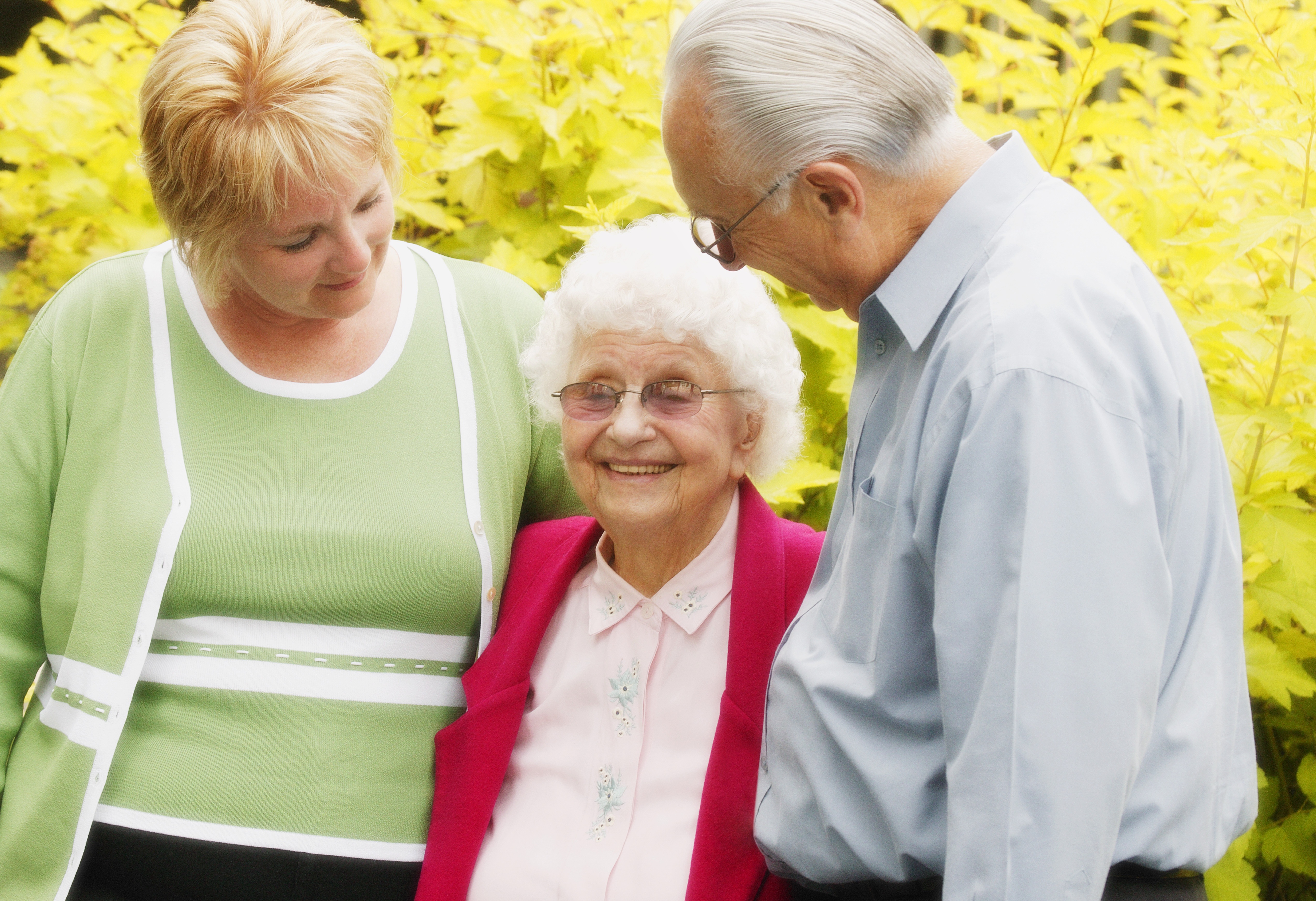 Elder Mediation